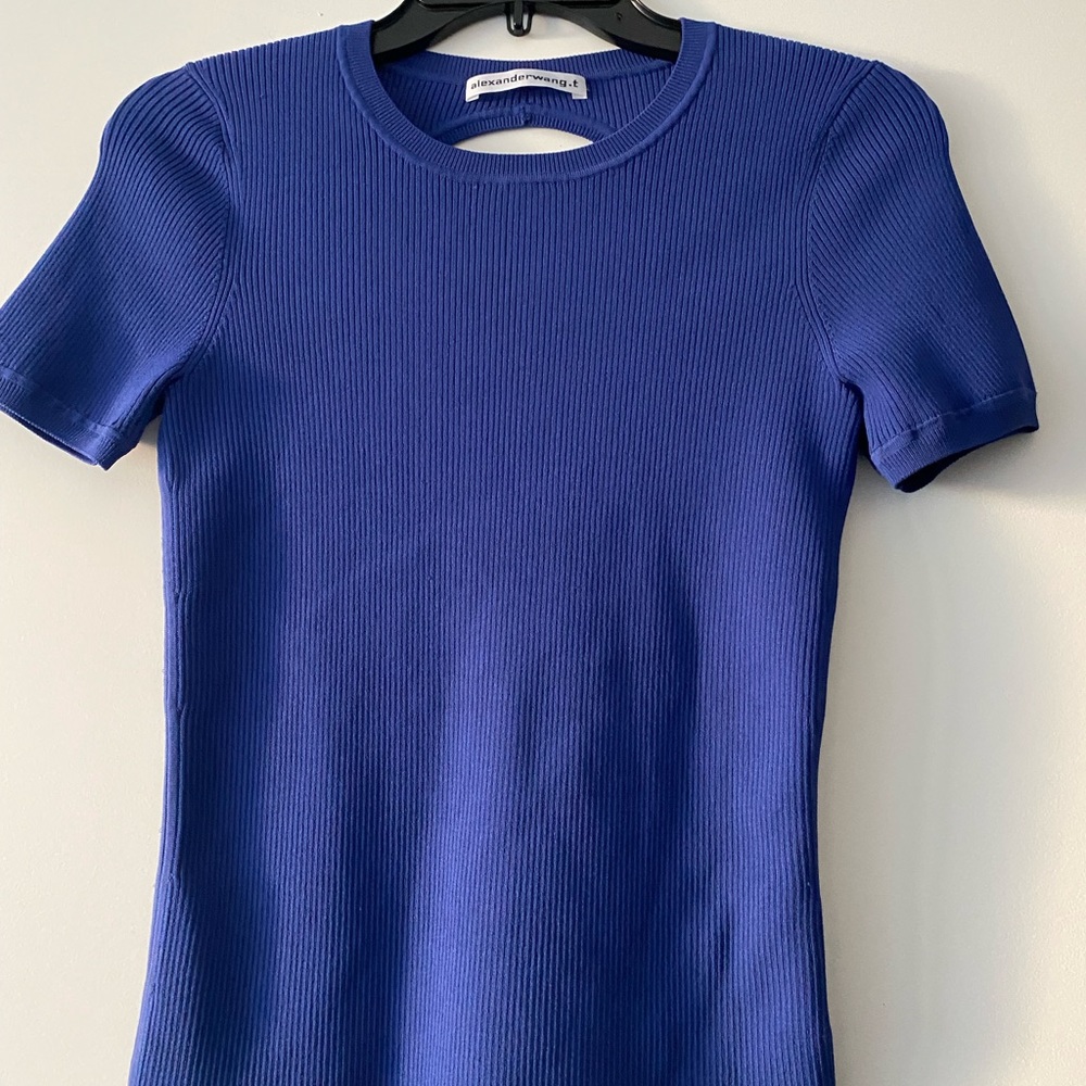Alexander Wang Sweater